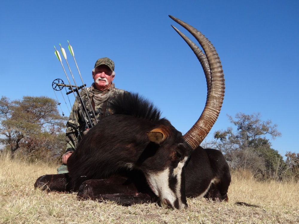 Sable Hunting Safari, South Africa