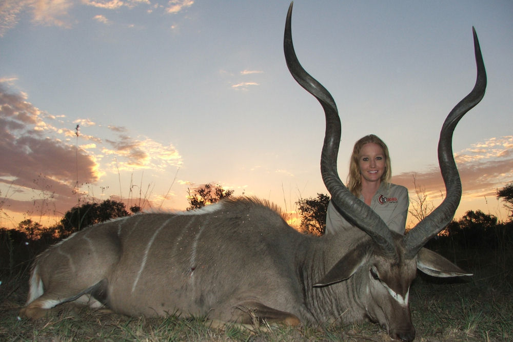 South Africa hunting Safari